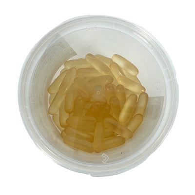 Dierendrogist Zalmolie Capsules voedingssupplement hond