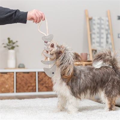 Trixie Visgraat Leer Met Touw hondenspeelgoed 43 cm