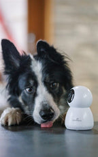 Numaxes Eyenimal Pet Vision Live hd Camera Zonder Geluid Detectie electrische artikelen