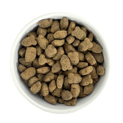 Budget Premium Skin Control Fish hondenvoer droogvoer 1 kg