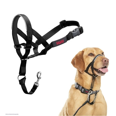 COMPANY OF ANIMALS HALTI HEADCOLLAR ZWART NR 3