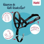 The Company Of Animals Company of Animals Halti Headcollar Zwart hondenhalsband hondenriem