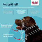 The Company Of Animals Company of Animals Halti Headcollar Zwart hondenhalsband hondenriem