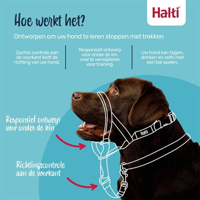 The Company Of Animals Company of Animals Halti Headcollar Zwart hondenhalsband hondenriem