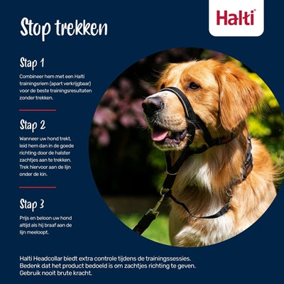 The Company Of Animals Company of Animals Halti Headcollar Zwart hondenhalsband hondenriem