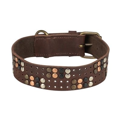 Trixie Halsband Hond Rivet Rustic Vetleer Donkerbruin hondenhalsband hondenriem
