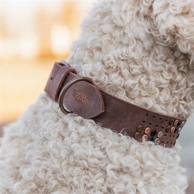 Trixie Halsband Hond Rivet Rustic Vetleer Donkerbruin hondenhalsband hondenriem