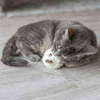 Trixie Beer Met Catnip Pluche Assorti kattenspeelgoed 8 cm