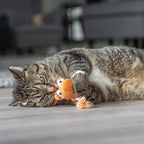 Trixie Draak Met Catnip Pluche Assorti kattenspeelgoed 20 cm