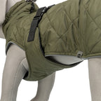 Trixie Hondenjas Minot Olijfgroen hondenkleding