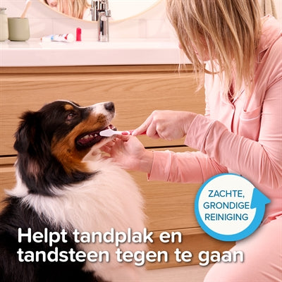 Beaphar Tandpasta en Borstel Combi-pack vachtverzorging hond