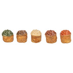 Trixie Cupcake Met Kippenborst hondenkoekjes 25 gr 70 st