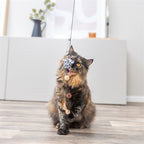Trixie Kattenhengel Ster Pluche Met Kattenkruid / Catnip kattenspeelgoed 50 cm