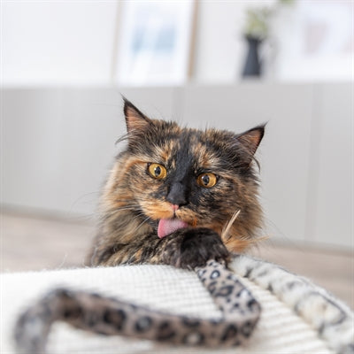 Trixie Kattenhengel Staart Panterprint Pluche Met Kattenkruid / Catnip kattenspeelgoed 51 cm