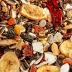 Versele-laga Exotic Fruit Papegaai vogelvoer zaden 750 gr