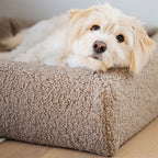 Bia Bed Premium Hoes Teddy hondenmand