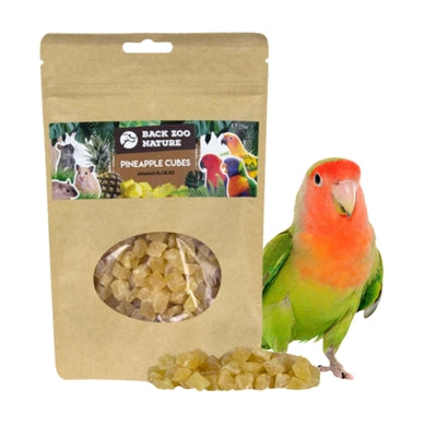 Back Zoo Nature Ananas Cubes snacks gedroogd