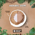 Back Zoo Nature Arabic Gum snacks gedroogd 50 gr