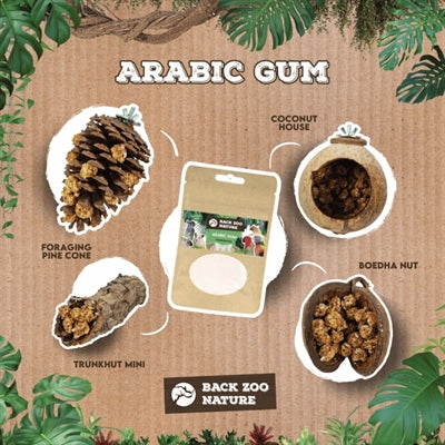 Back Zoo Nature Arabic Gum snacks gedroogd 50 gr