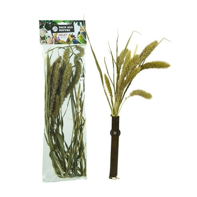 Back Zoo Nature Millet Setaria snacks gedroogd 30 gr