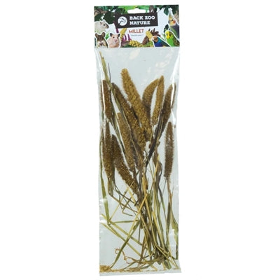 BACK ZOO NATURE MILLET SETARIA ITALICA 50 GR