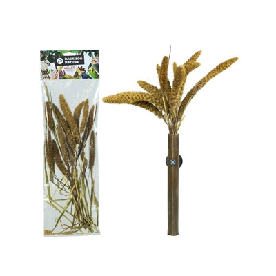 Back Zoo Nature Millet Setaria Italica snacks gedroogd 50 gr