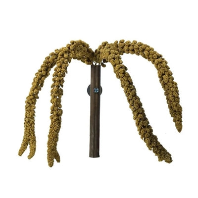 Back Zoo Nature Franse Trosgierst Geel snacks gedroogd 150 gr