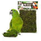 Back Zoo Nature Forest Moss bodembedekking 70 gr