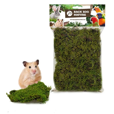 Back Zoo Nature Forest Moss bodembedekking 70 gr
