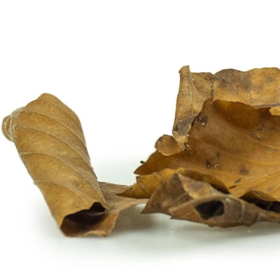 Back Zoo Nature Discovery Leaves bodembedekking ca. 50 gr