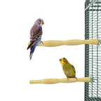 Back Zoo Nature Wood Perch vogelspeelgoed 25 cm 2 st