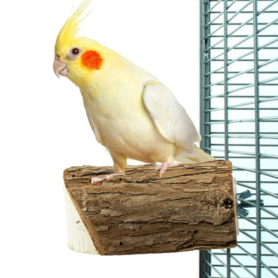 Back Zoo Nature Wood Slice Perch vogelspeelgoed