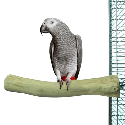 Back Zoo Nature Java Perch vogelspeelgoed