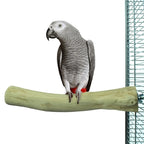 Back Zoo Nature Java Perch vogelspeelgoed