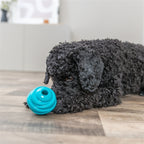 Trixie Bal Super Strong TPR Petrol hondenspeelgoed