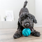 Trixie Bal Super Strong TPR Petrol hondenspeelgoed