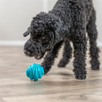 Trixie Bal Super Strong TPR Petrol hondenspeelgoed
