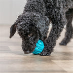 Trixie Bal Super Strong TPR Petrol hondenspeelgoed
