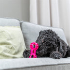 Trixie Dumbell Soft & Strong TPR Roze hondenspeelgoed