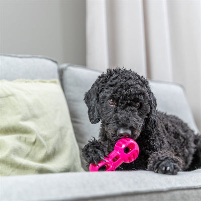 Trixie Dumbell Soft & Strong TPR Roze hondenspeelgoed
