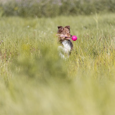 Trixie Werpbal Soft & Strong TPR Roze hondenspeelgoed