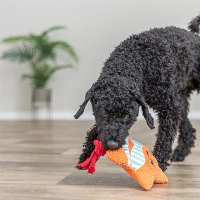 Trixie Zeester Met Flostouw Oranje hondenspeelgoed 22x18x7,5 cm