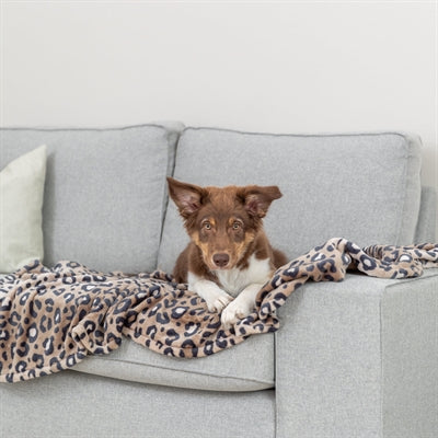 Trixie Hondendeken Leo Softpluche Panterprint hondenmand