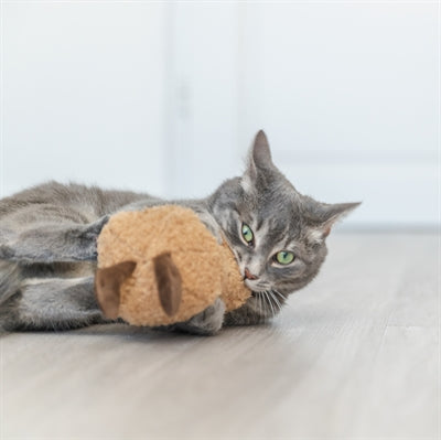 Trixie Pinda XXL Pluche Met Amerikaanse Catnip kattenspeelgoed 20 cm