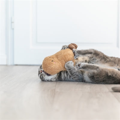 Trixie Pinda XXL Pluche Met Amerikaanse Catnip kattenspeelgoed 20 cm