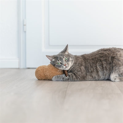Trixie Pinda XXL Pluche Met Amerikaanse Catnip kattenspeelgoed 20 cm