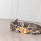 Trixie Spartel Schildpad Pluche kattenspeelgoed 14 cm