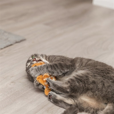 Trixie Spartel Schildpad Pluche kattenspeelgoed 14 cm