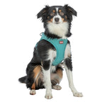Trixie Hondentuig Urbanvest Mesh Aqua hondenhalsband hondenriem