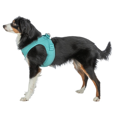 Trixie Hondentuig Urbanvest Mesh Aqua hondenhalsband hondenriem